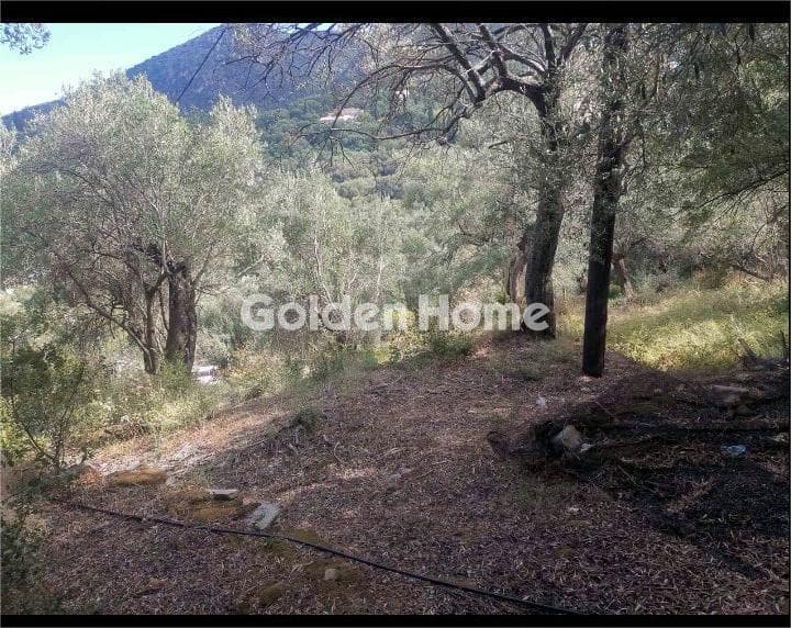 Οικόπεδο στην Κασσιόπη, Κέρκυρα — Φωτογραφία 5 από 12