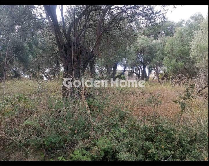 Οικόπεδο στην Κασσιόπη, Κέρκυρα — Φωτογραφία 7 από 12