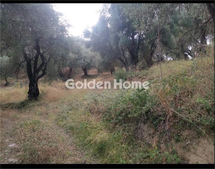 Οικόπεδο στην Κασσιόπη, Κέρκυρα — Φωτογραφία 6 από 12