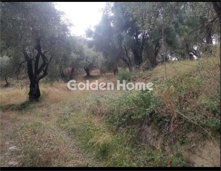 Οικόπεδο στην Κασσιόπη, Κέρκυρα — Φωτογραφία 10 από 12