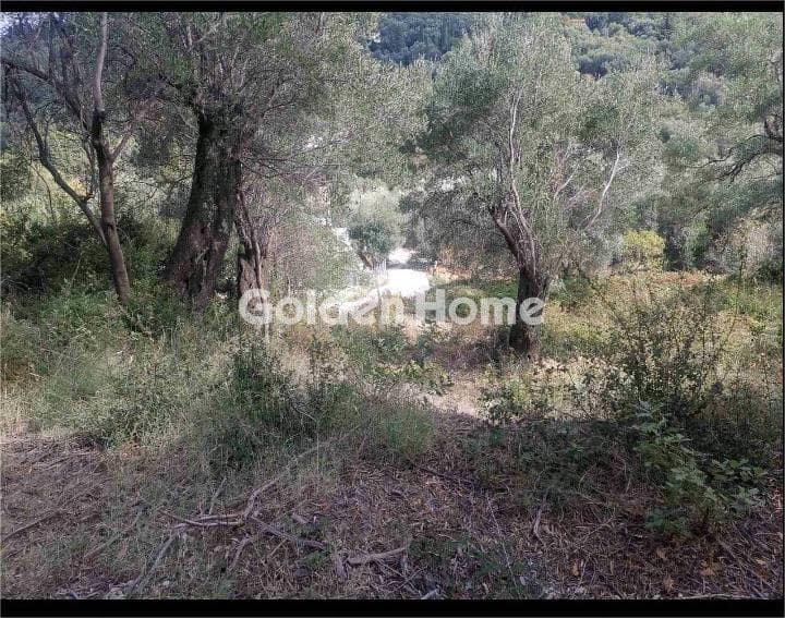 Οικόπεδο στην Κασσιόπη, Κέρκυρα — Φωτογραφία 12 από 12