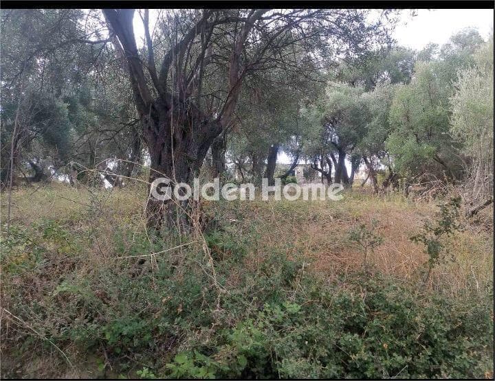 Οικόπεδο στην Κασσιόπη, Κέρκυρα — Φωτογραφία 1 από 12