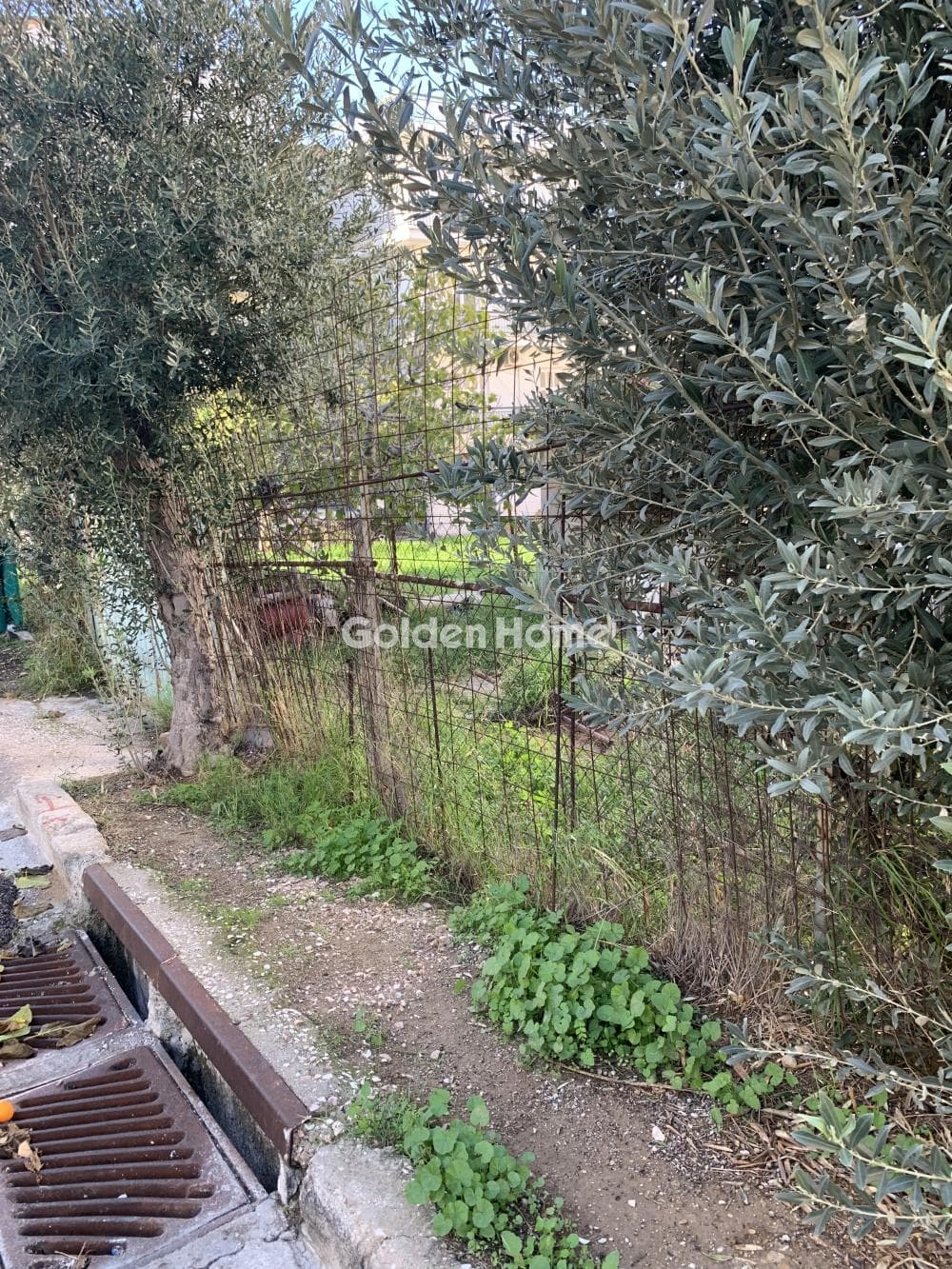 Οικόπεδο στην Ποταμιά, Άγιος Δημήτριος
