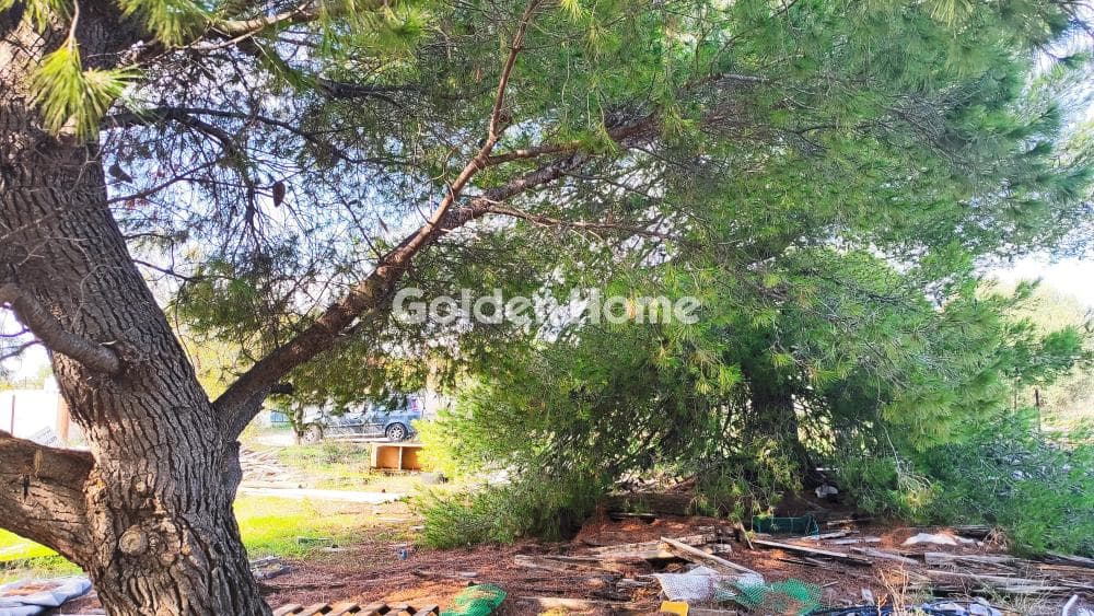 Αγροτεμάχιο στην Άγιος Σεραφείμ, Αρτέμιδα (Λούτσα) — Φωτογραφία 2 από 3