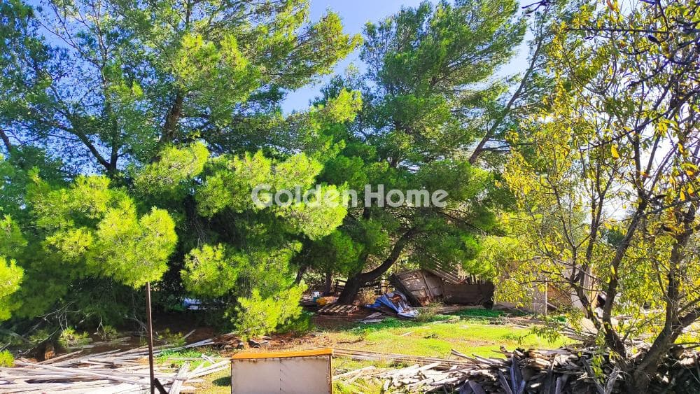 Αγροτεμάχιο στην Άγιος Σεραφείμ, Αρτέμιδα (Λούτσα) — Φωτογραφία 1 από 3