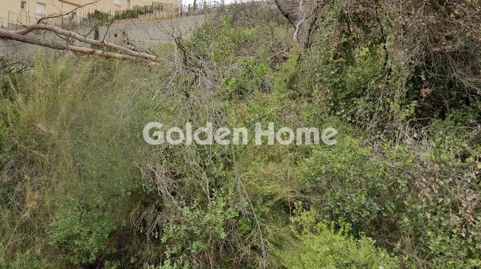 Building Plot in Rodopoli, Rodopoli — Photo 2 of 2