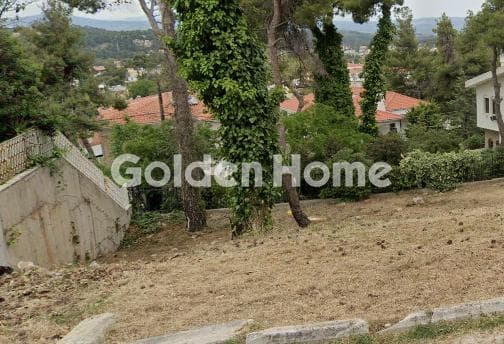 Building Plot in Rodopoli, Rodopoli — Photo 1 of 2