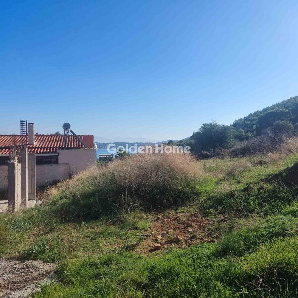 House in Resti, Salamina — Photo 13 of 15