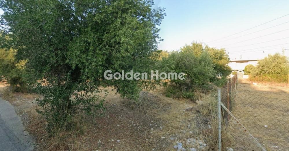 Parcel in Megala Sxoinia A, Acharnes — Photo 1 of 5