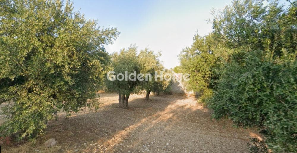 Parcel in Megala Sxoinia A, Acharnes — Photo 2 of 5
