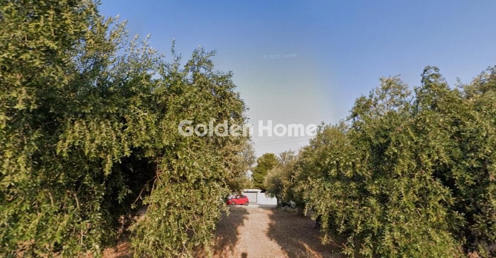 Parcel in Megala Sxoinia A, Acharnes — Photo 3 of 5