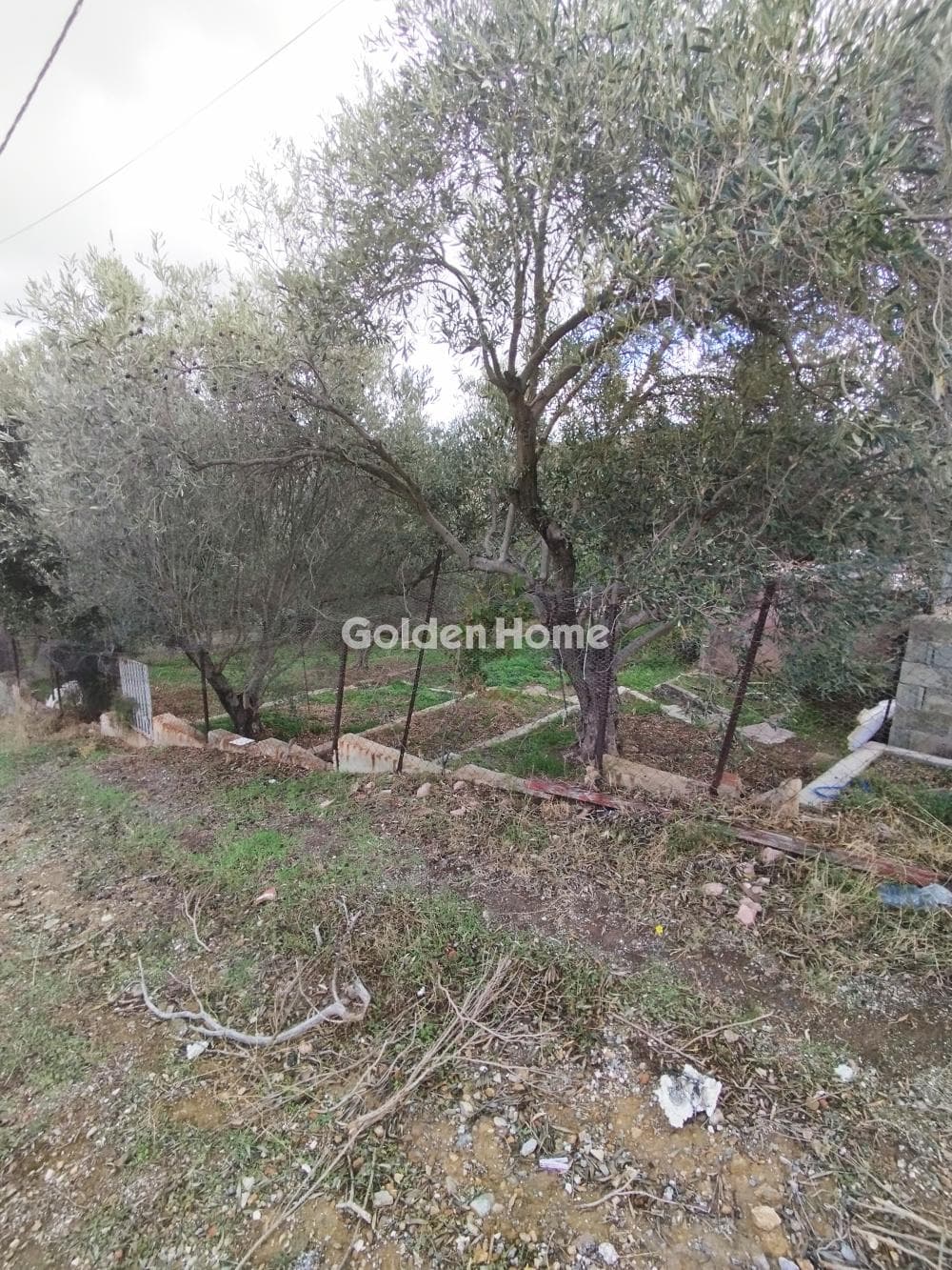Αγροτεμάχιο στην Συντερίνα, Ανάβυσσος — Φωτογραφία 1 από 3