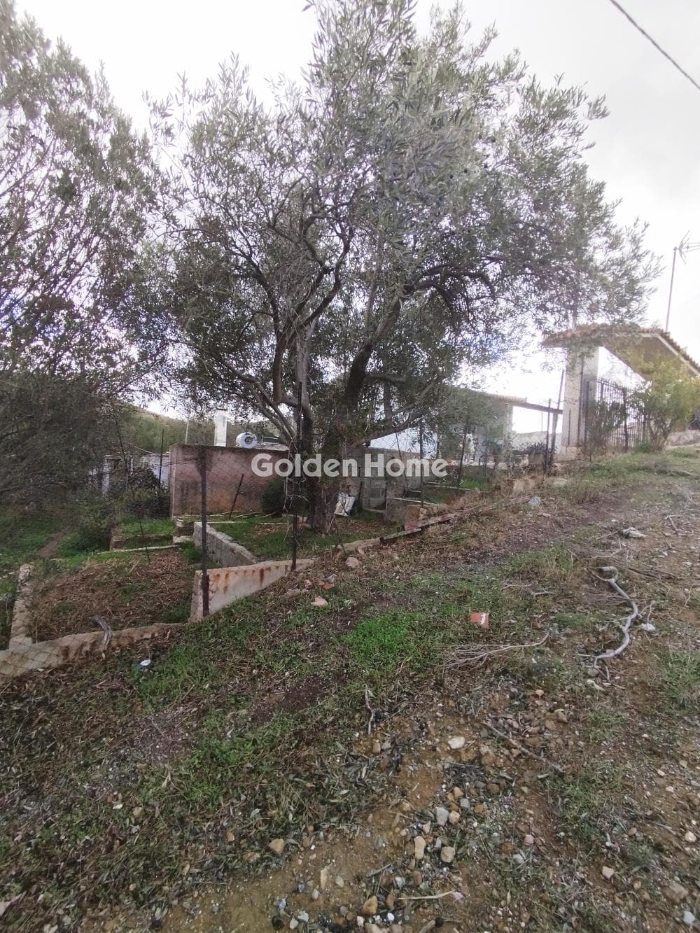 Αγροτεμάχιο στην Συντερίνα, Ανάβυσσος — Φωτογραφία 2 από 3