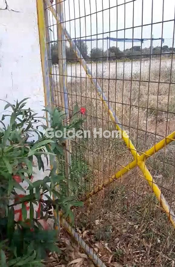 Building Plot in Neapoli, Spata — Photo 8 of 10