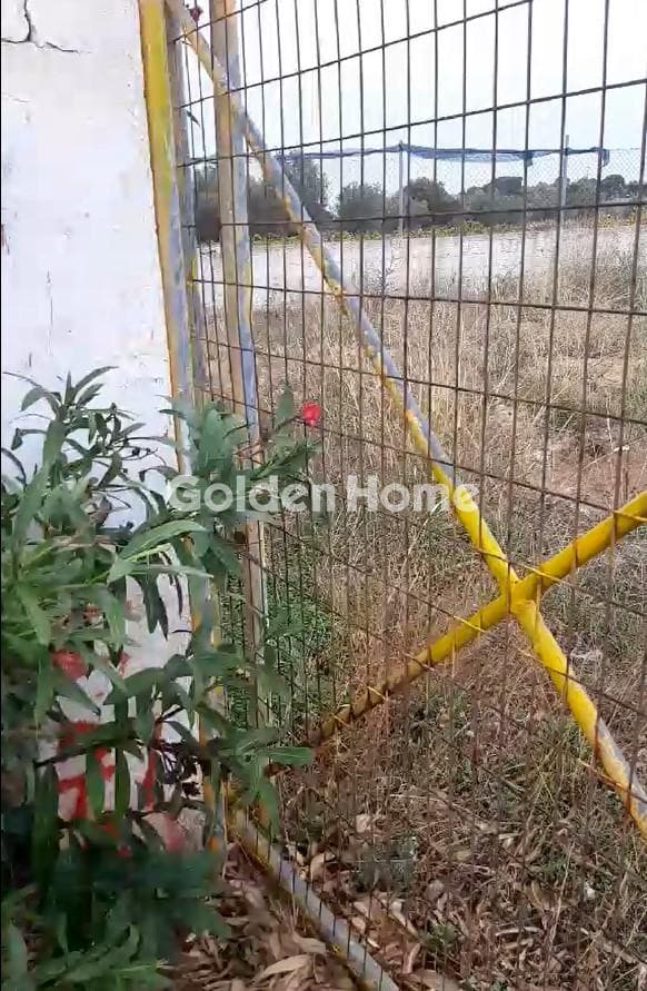 Building Plot in Neapoli, Spata — Photo 5 of 10