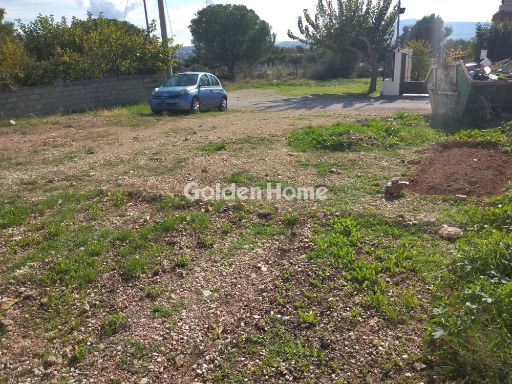 Building Plot in Megala Sxoinia A, Acharnes — Photo 6 of 8