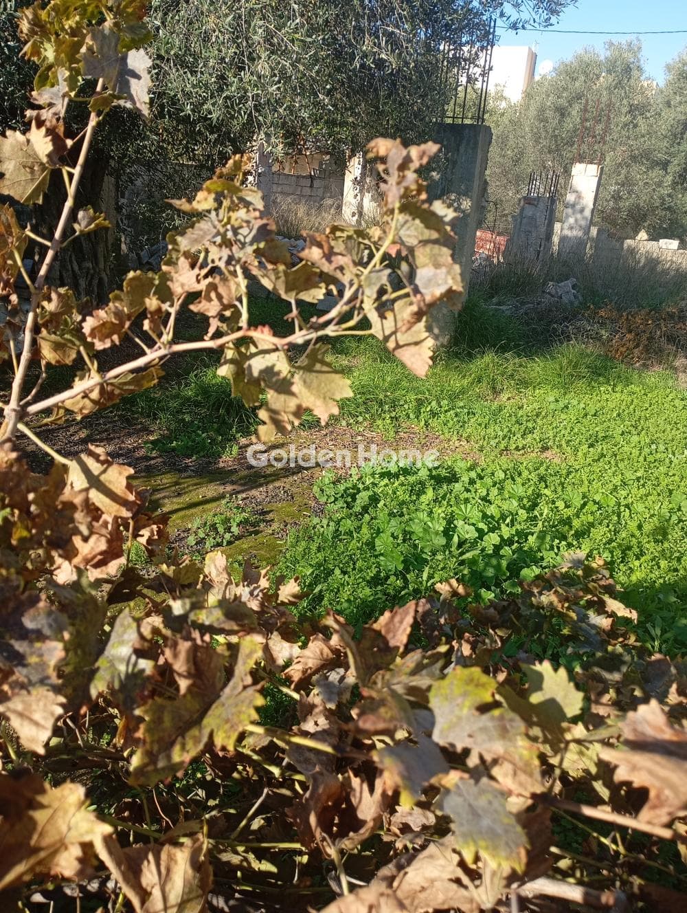 Building Plot in Neapoli, Spata — Photo 2 of 7