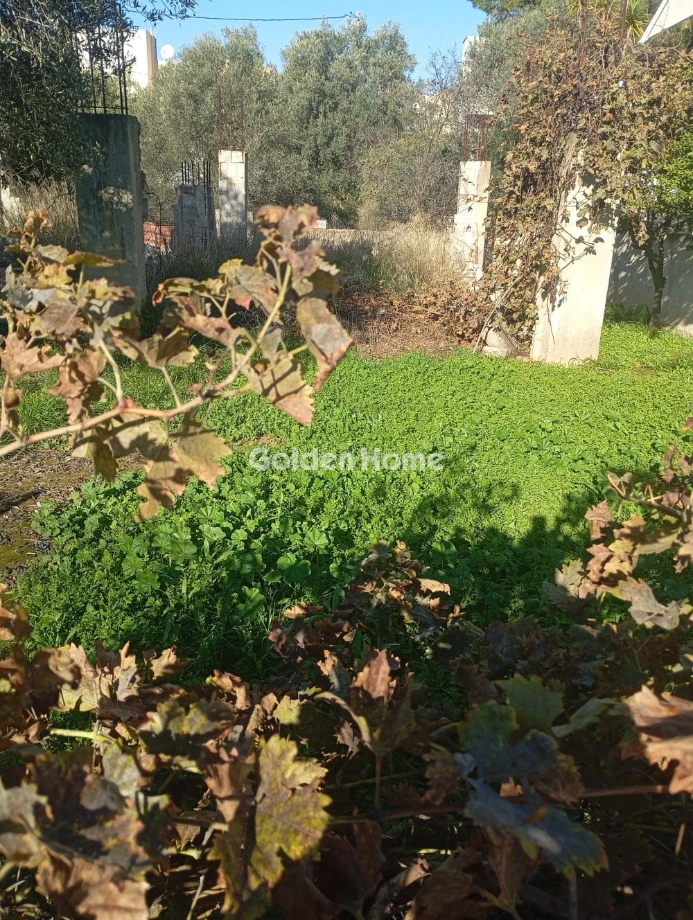 Building Plot in Neapoli, Spata — Photo 3 of 7