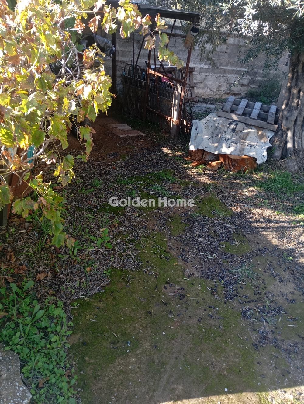 Building Plot in Neapoli, Spata — Photo 5 of 7