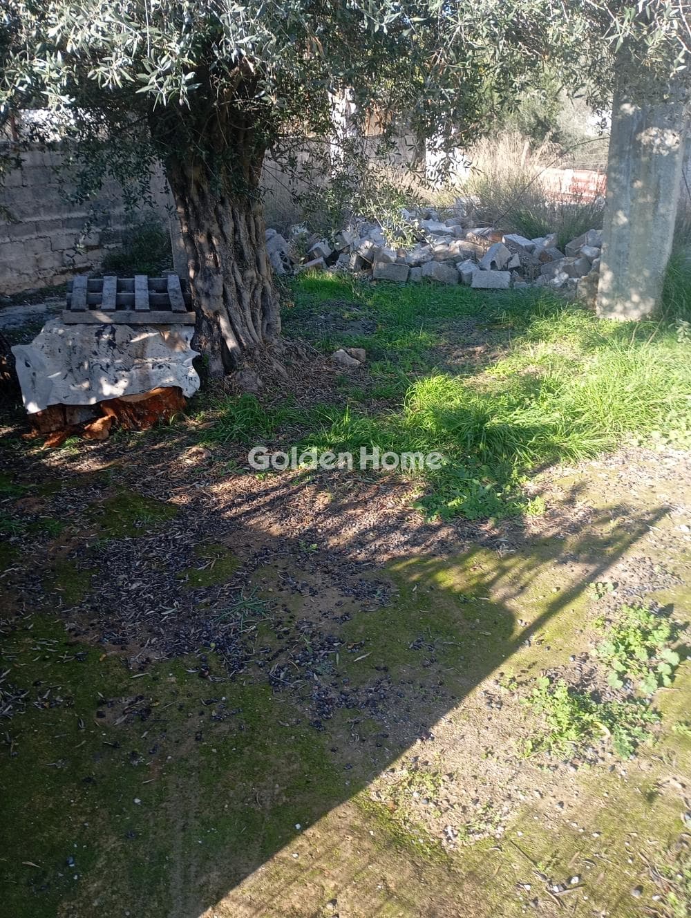 Building Plot in Neapoli, Spata — Photo 6 of 7