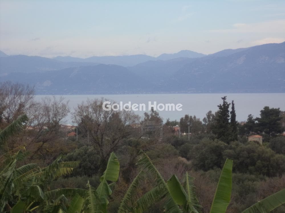 Μονοκατοικία στην Ροδοδάφνη, Αίγιο — Φωτογραφία 16 από 22