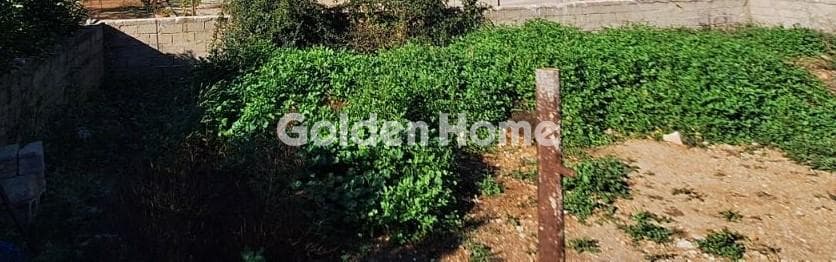Building Plot in Megala Sxoinia A, Acharnes