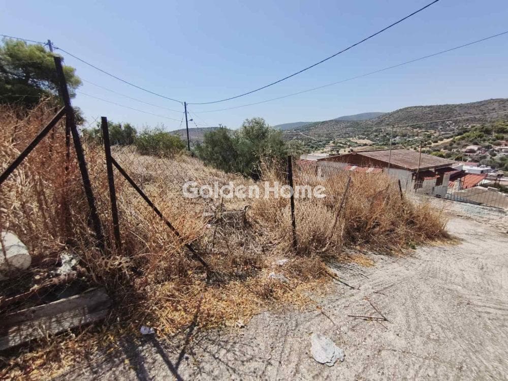 Parcel in Megalo Ntoroto, Salamina — Photo 1 of 10