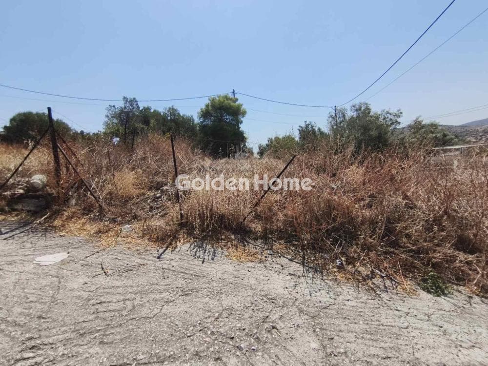 Parcel in Megalo Ntoroto, Salamina — Photo 2 of 10