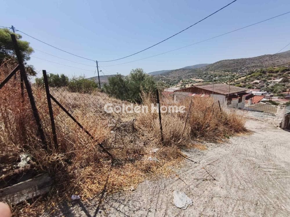 Parcel in Megalo Ntoroto, Salamina — Photo 3 of 10