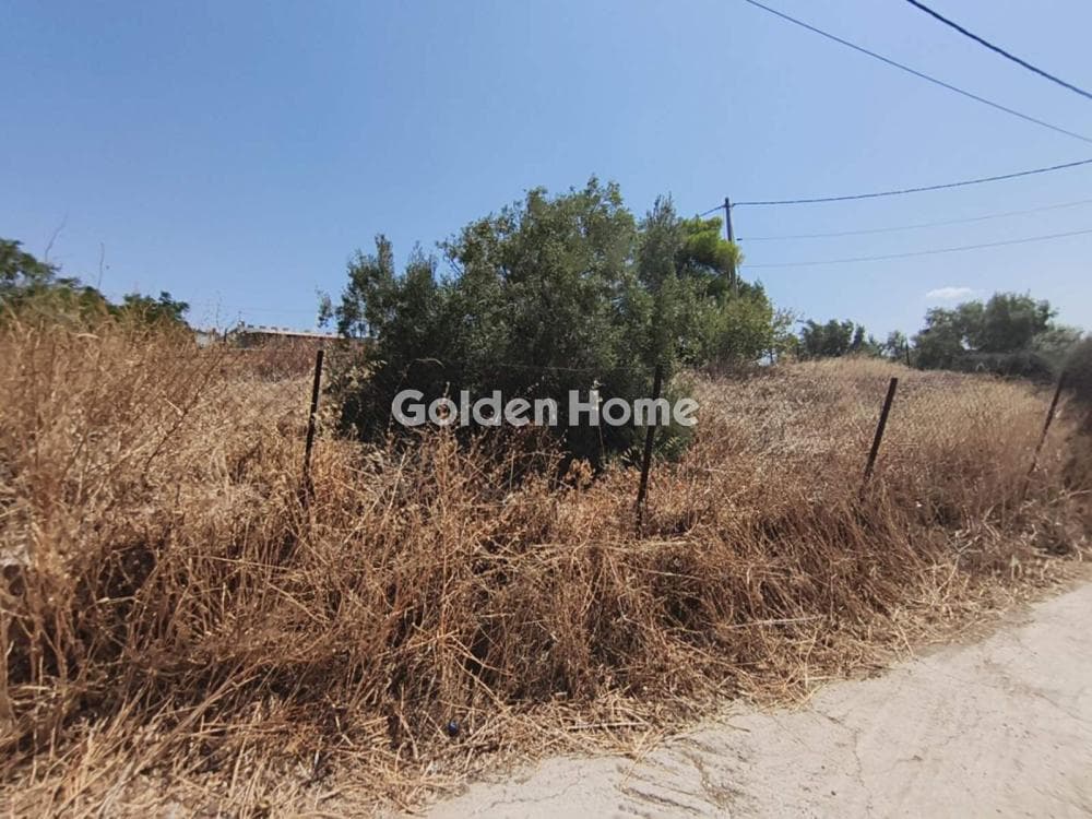 Parcel in Megalo Ntoroto, Salamina — Photo 4 of 10