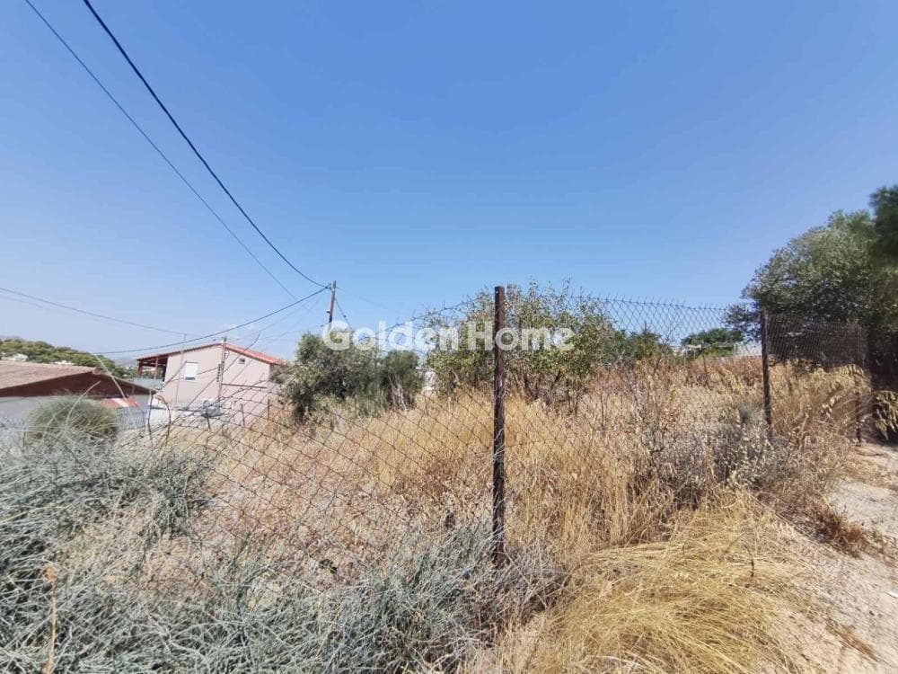 Parcel in Megalo Ntoroto, Salamina — Photo 10 of 10