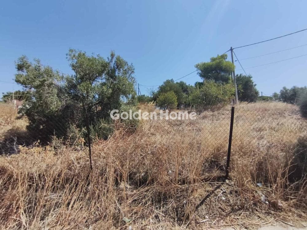 Parcel in Megalo Ntoroto, Salamina — Photo 6 of 10