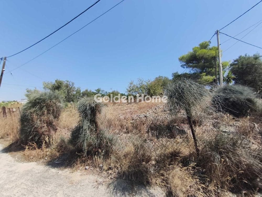 Parcel in Megalo Ntoroto, Salamina — Photo 8 of 10
