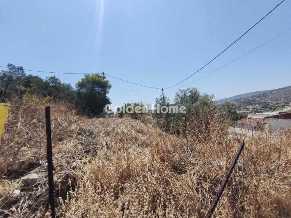 Parcel in Megalo Ntoroto, Salamina — Photo 7 of 10