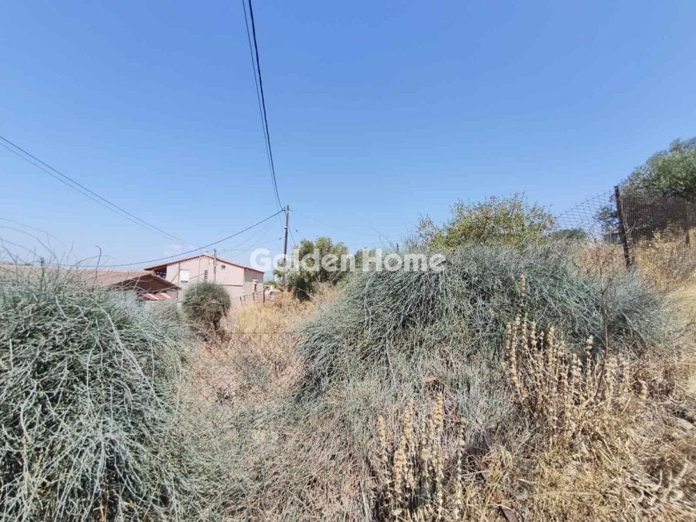 Parcel in Megalo Ntoroto, Salamina — Photo 9 of 10