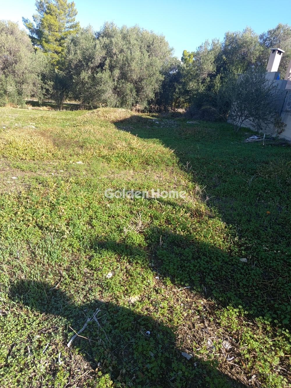 Building Plot in Kollivas, Gazi — Photo 1 of 2