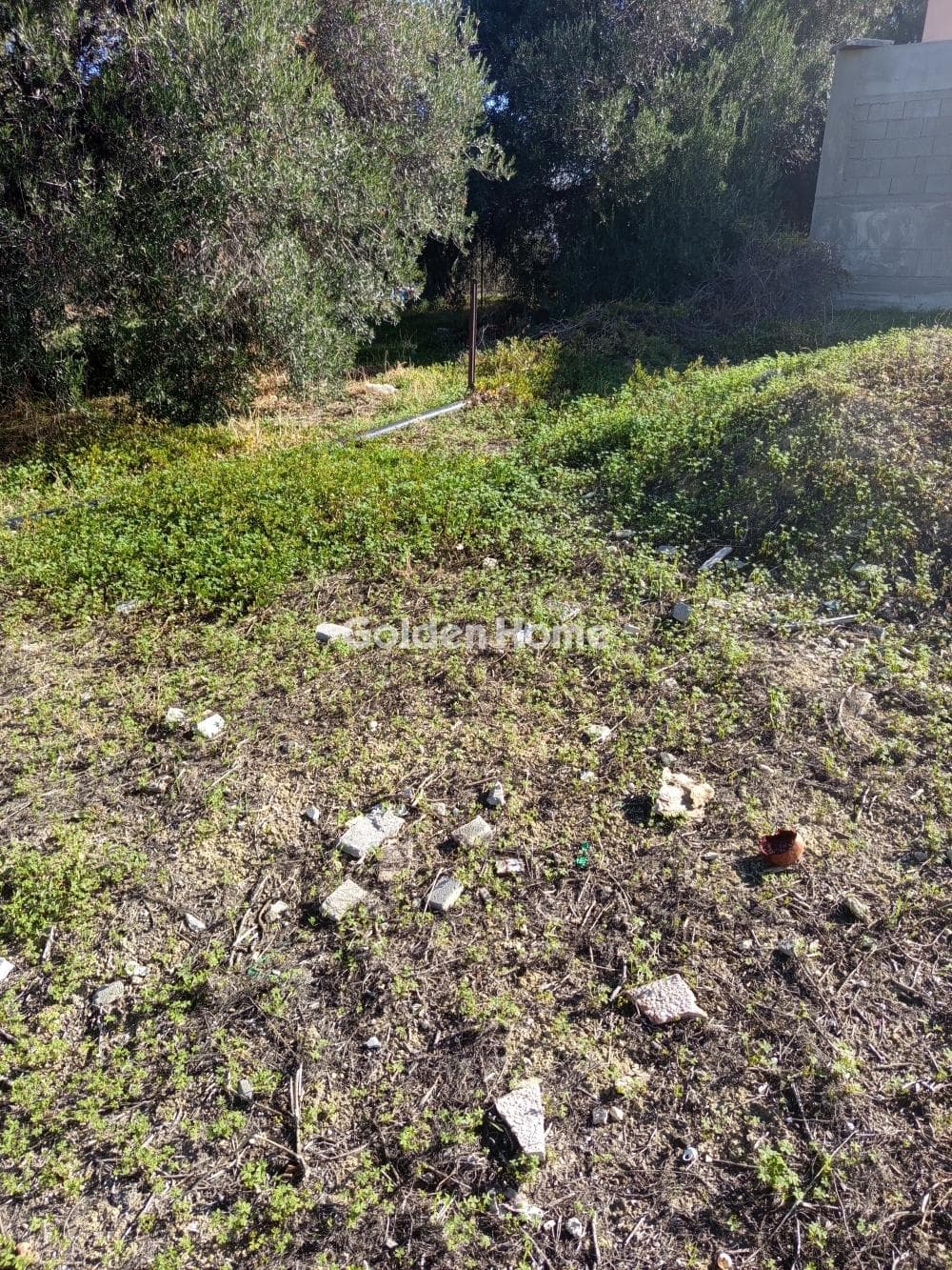 Building Plot in Kollivas, Gazi — Photo 2 of 2
