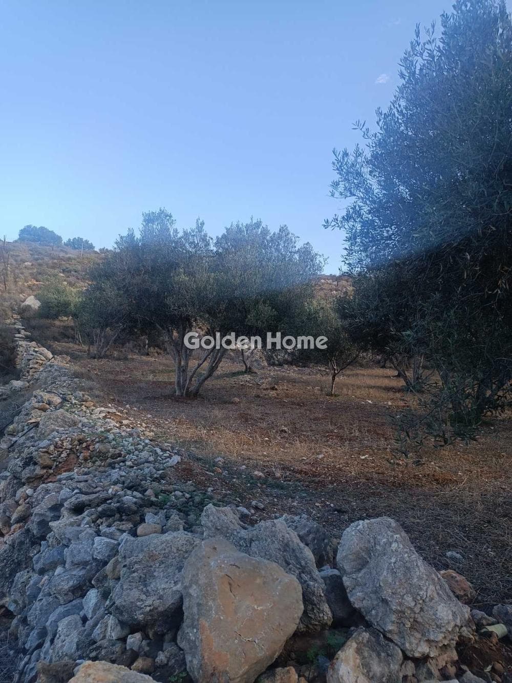 Αγροτεμάχιο στην Κέντρο, Γούβες — Φωτογραφία 3 από 5