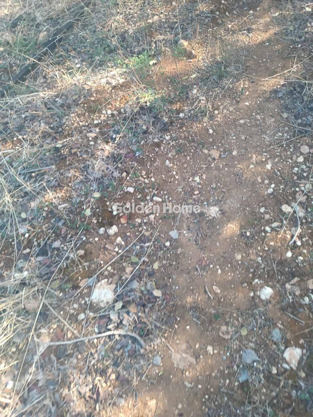 Αγροτεμάχιο στην Κέντρο, Γούβες — Φωτογραφία 5 από 5