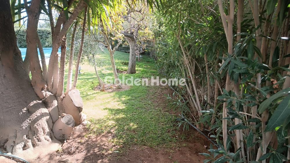 House in Agios Nikolaos, Rafina — Photo 55 of 65