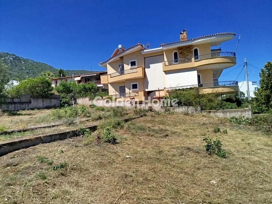 Building Plot in Aiantio, Salamina — Photo 3 of 4