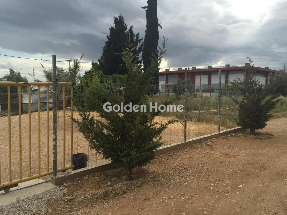 Οικόπεδο στην Άνω Μπαλάνα, Παλλήνη — Φωτογραφία 1 από 5