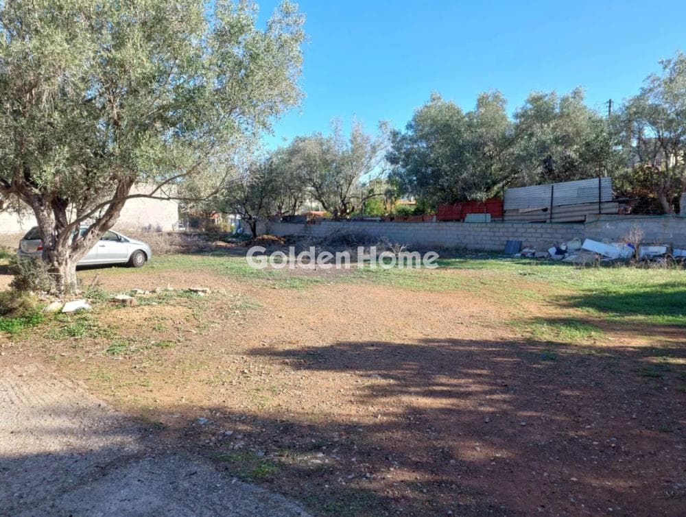 Building Plot in Megalo Ntoroto, Salamina — Photo 3 of 4