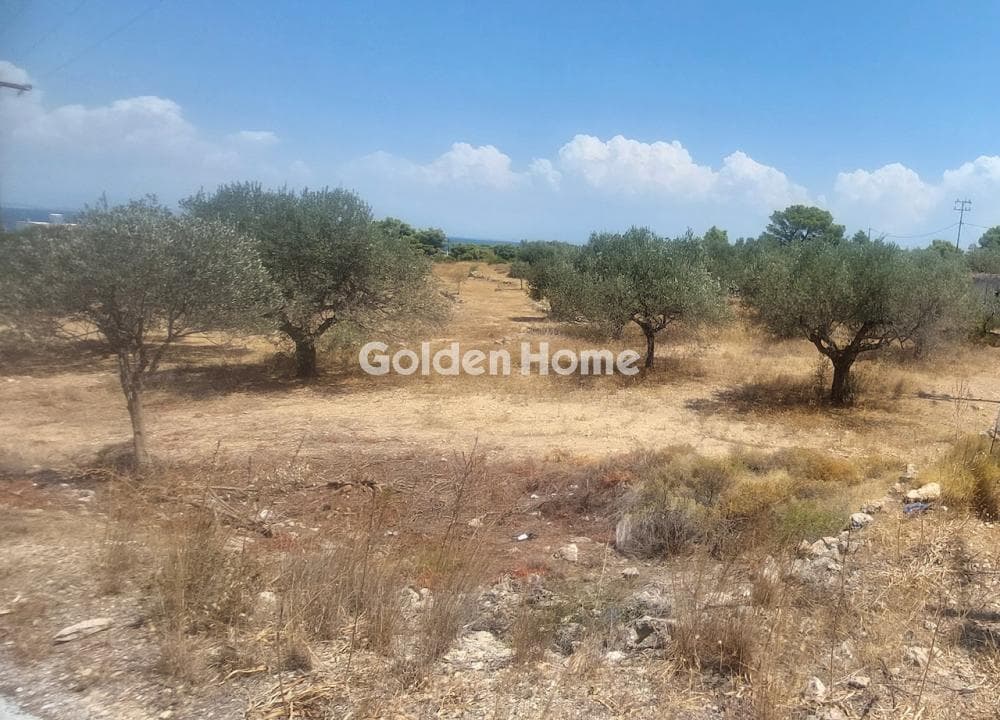 Building Plot in Vagia, Aegina