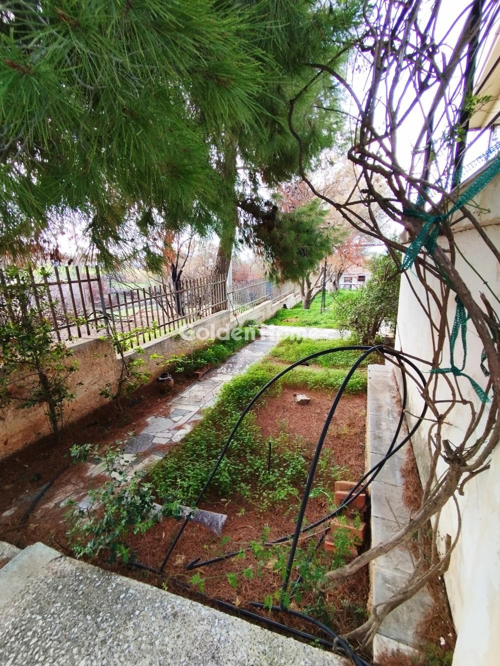 House in Thimari, Palaia Fokaia — Photo 20 of 22
