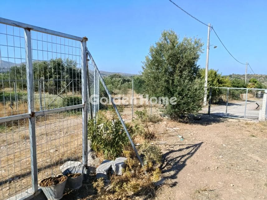 Parcel in Neapoli, Spata — Photo 3 of 6