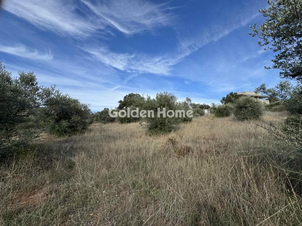 Building Plot in Kiourka, Afidnes — Photo 1 of 3