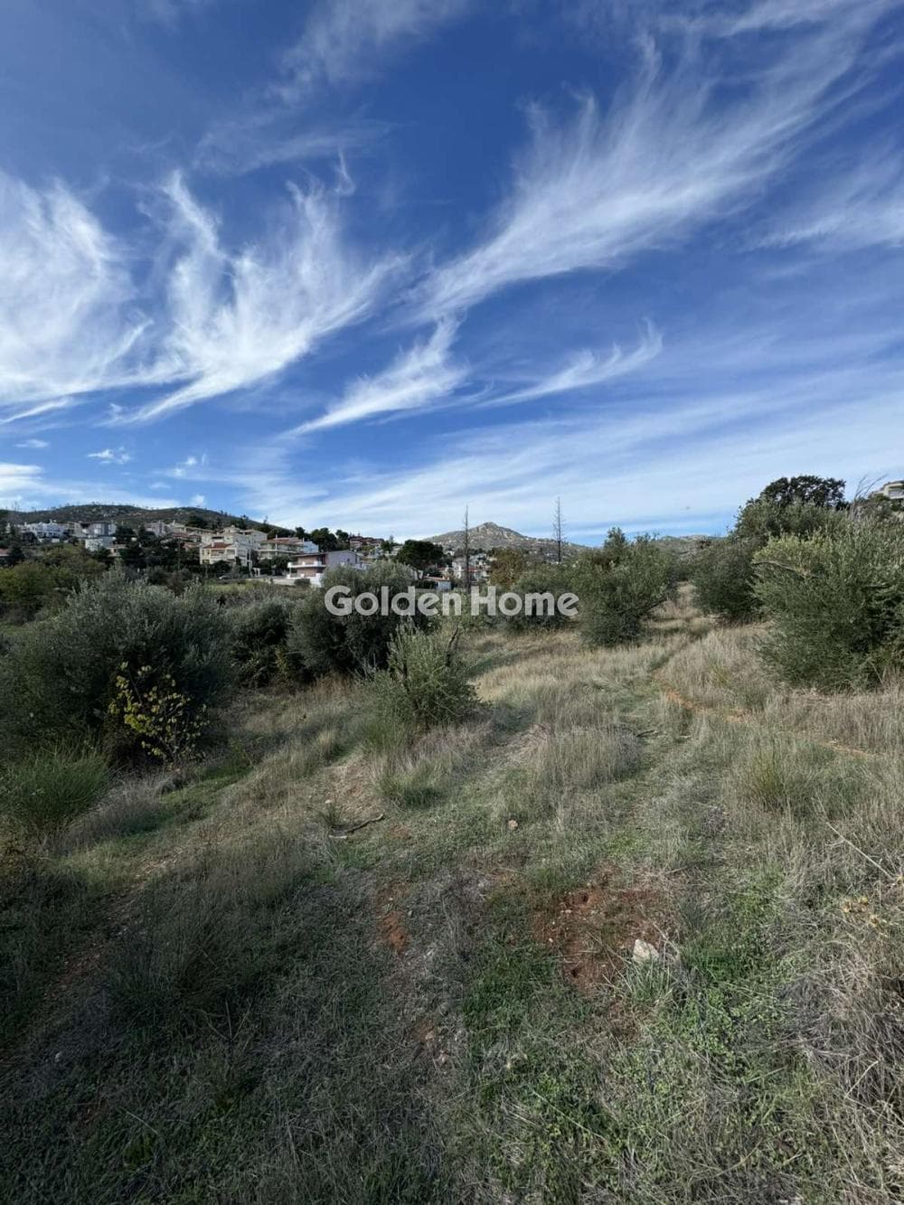 Building Plot in Kiourka, Afidnes — Photo 3 of 3