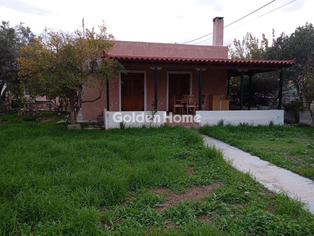 Μονοκατοικία στην Κεφλαίικα, Καλύβια Θορικού — Φωτογραφία 2 από 20
