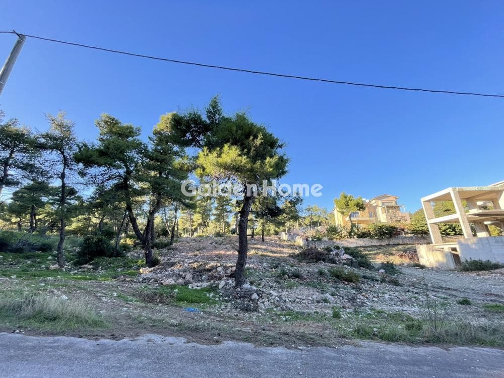 Building Plot in Avgi, Afidnes — Photo 3 of 4